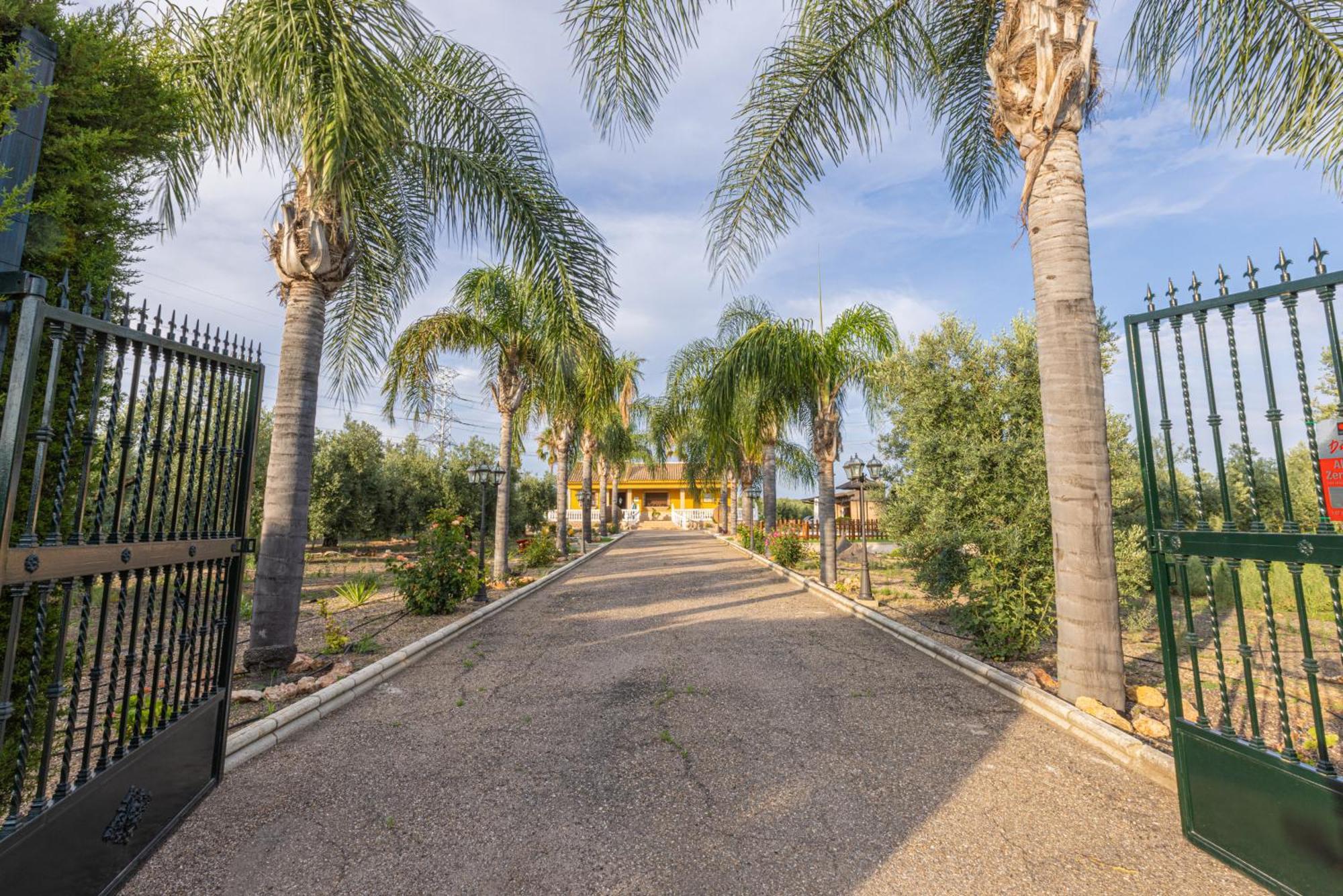 Casa Rural En El Entorno De Donana Villa Hinojos Esterno foto